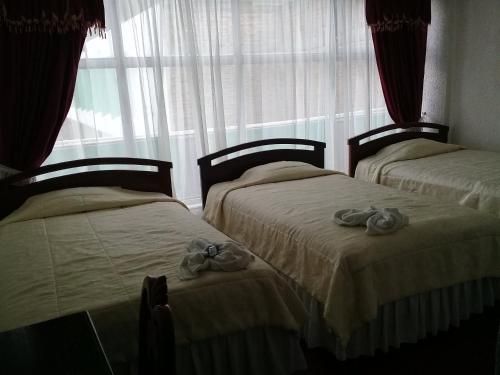 صورة الفندق 2