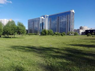 22-й этаж в Московском районе с видом на парк