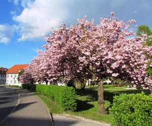 Kastanienhof Lübben Luebben Germany