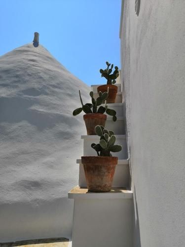 صورة الفندق 9