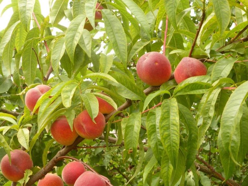 صورة الفندق 2