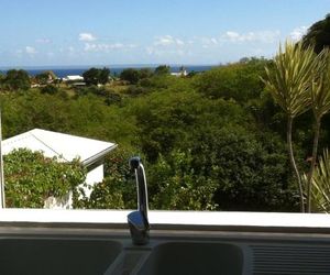 Bois patate location Sainte Anne Guadeloupe
