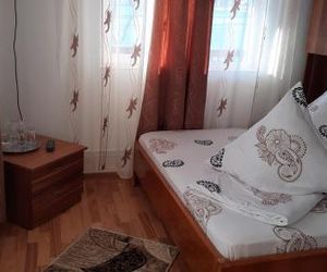 Casa Nicoleta Gura Humorului Romania