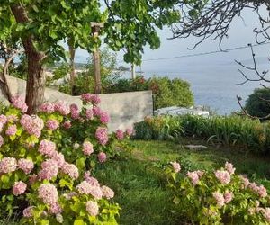 Apartments Mare Croatia Senj Croatia