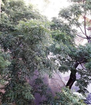 صورة الفندق 3