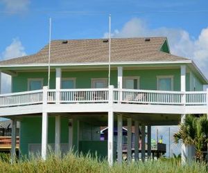 Parrot Head Home Port Bolivar United States