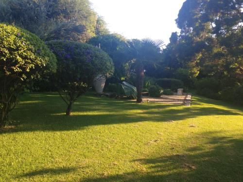 صورة الفندق 20