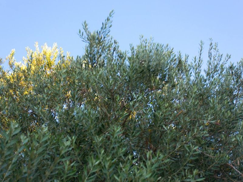 صورة الفندق 21