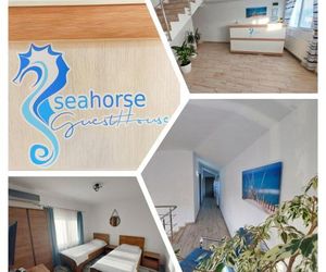 SeaHorse GuestHouse Navodari Romania