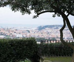 DAGO48 Ancona Italy