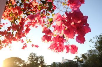صورة الفندق 19