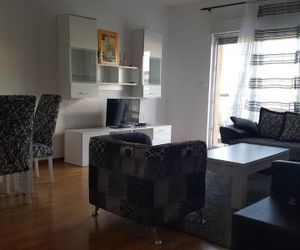 Zebra Podgorica Montenegro