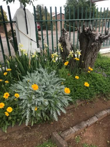 صورة الفندق 6