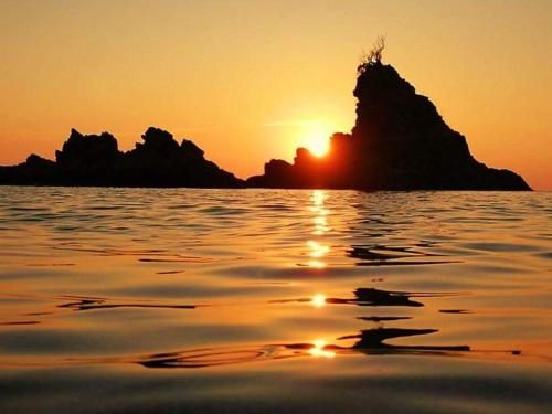 صورة الفندق 14