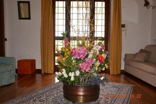 صورة الفندق 13