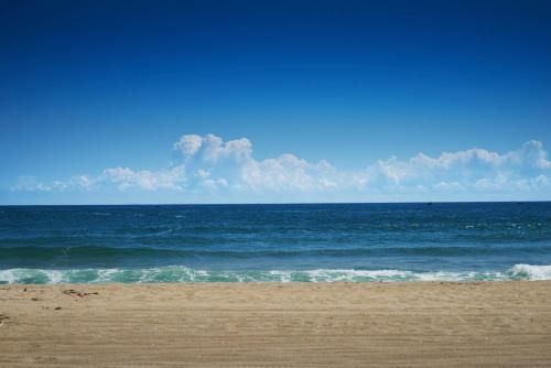 صورة الفندق 21