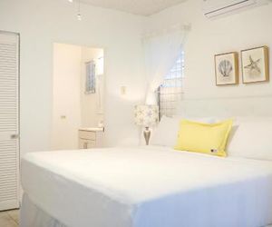 New Kingstons Deluxe Apartment Kingston Jamaica