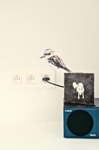 صورة الفندق 16