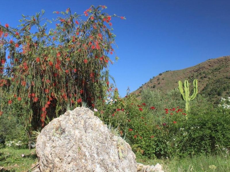 صورة الفندق 8