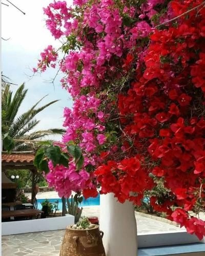صورة الفندق 12