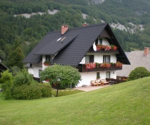 Apartmaji Vesna Bohinjsko Jezero Slovenia