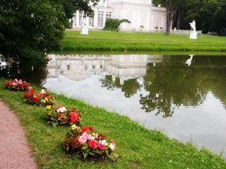 Апартаменты на Еленинской