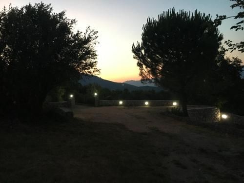 صورة الفندق 24