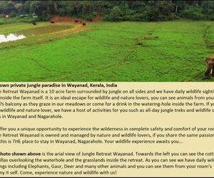 Jungle Retreat Wayanad Chegat India