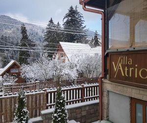 Villa Atriolum Baile Tusnad Romania