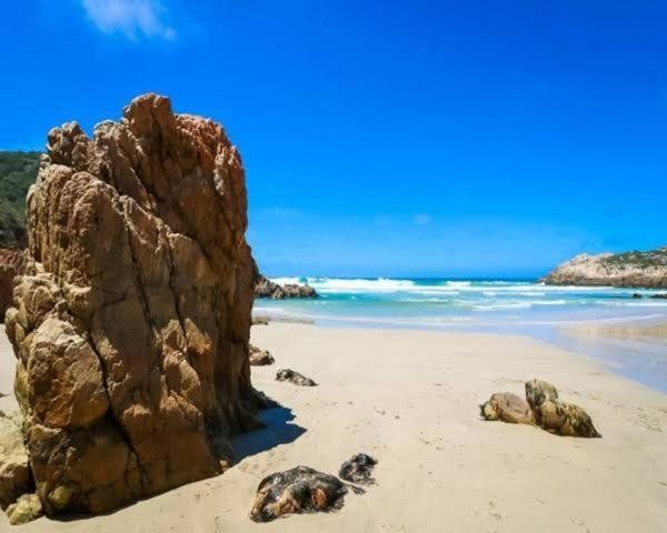 صورة الفندق 12