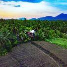 Фото отеля Blue Mountains View