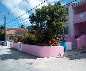 Da Pink And White Palace New Providence Island Bahamas