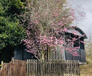 The Cherry Tree Gypsy Wagon Banbury United Kingdom