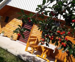 Holiday Home Ana Zabljak Montenegro