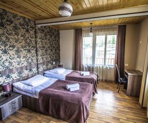 Hotel Svanseti Mestia Georgia