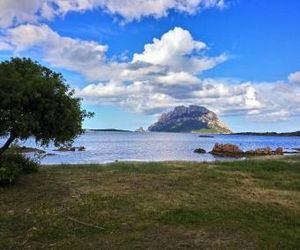 Villa Raffaello Capo Coda Cavallo Italy