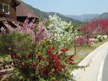 صورة الفندق 5