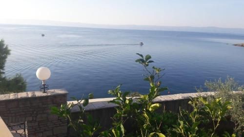 صورة الفندق 13