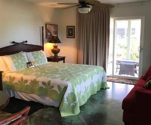 Hale Pua Villa - Seaside Studio Koloa United States