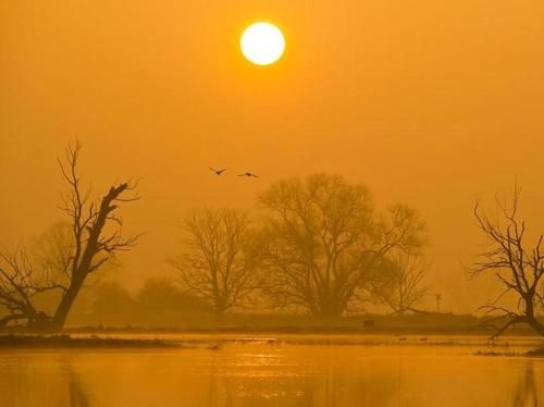 صورة الفندق 23