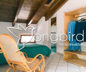 Songbird Agerola Italy