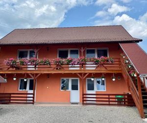 Casa Gabriela Sovata Romania