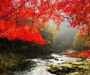 Yasashisanoyado Chikutei Tsuyama Japan