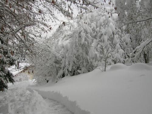 صورة الفندق 16