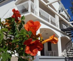 Apartments Merion Starigrad Croatia