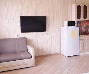 Apartment on Chekhova 135 Abakan Russia