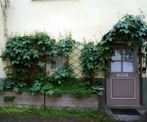 Cozy flat in the Old Town Tallinn Estonia