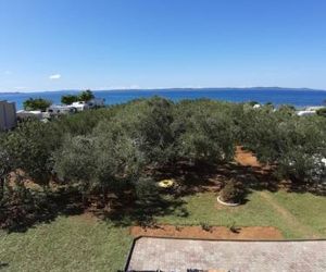 Vesna & Ante Apartments Privlaka Croatia