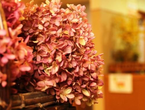 صورة الفندق 15