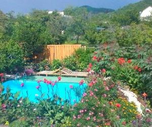 Guest house Ludmila Olginka Russia